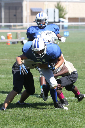 140928 Colts vs Stallions Youth Football 0017