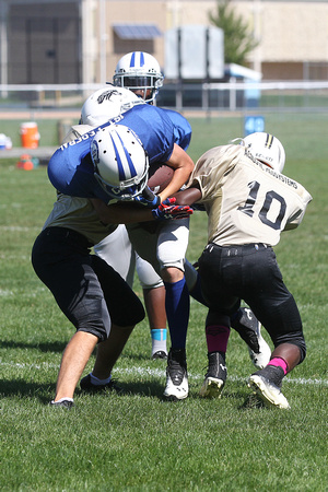 140928 Colts vs Stallions Youth Football 0016