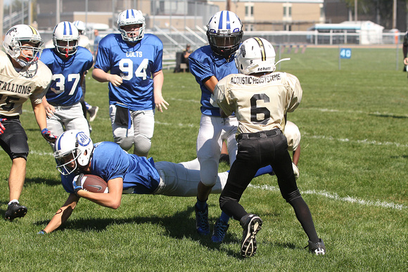 140928 Colts vs Stallions Youth Football 0005