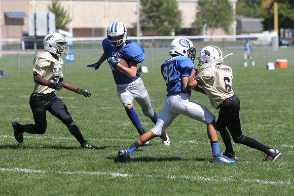 140928 Colts vs Stallions Youth Football 0013